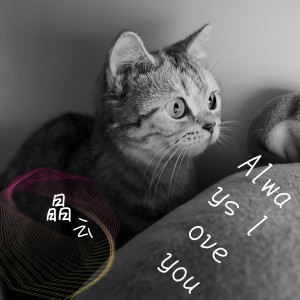 ดาวน์โหลดและฟังเพลง Always Love You พร้อมเนื้อเพลงจาก 晶云