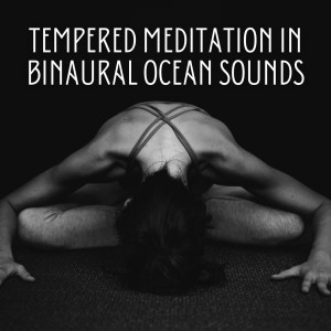 Pure Meditation Music的专辑Tempered Meditation in Binaural Ocean Sounds