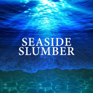 收聽Beach Sounds 2016的Shallow Waves歌詞歌曲