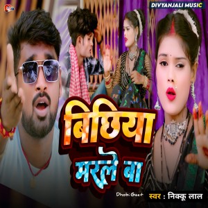 收听Nikkoo Lal的Bichhiya Marle Ba歌词歌曲