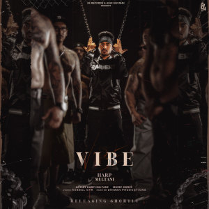 Album Vibe from Harp Multani