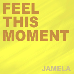 Album Feel This Moment from Jamela