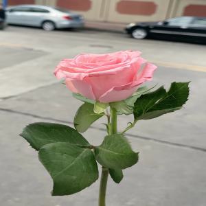 Dengarkan 肯定 (伴奏) lagu dari RE-D dengan lirik