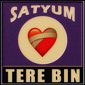 Satyum的專輯Tere Bin