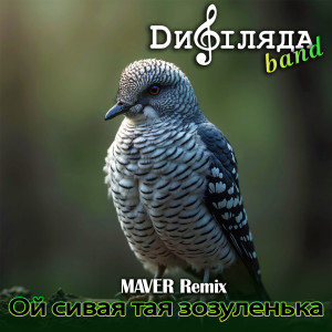 Album Ой сивая тая зозуленька (Maver Remix) from Дифіляда band