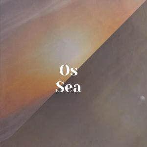 Listen to Subject Brassy song with lyrics from Bung Oham