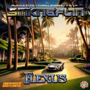 Album Flexus oleh Smkn & Fltn
