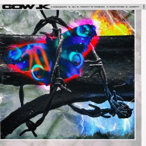 อัลบัม Cow.K ศิลปิน BABY PERRY