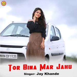 Listen to Tor Bina Mar Jahu song with lyrics from Jay Khande