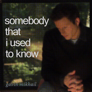 Listen to Somebody That I Used To Know song with lyrics from Gavin Mikhail