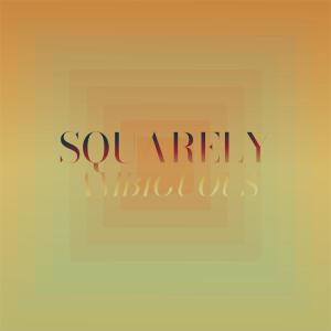 อัลบัม Squarely Ambiguous ศิลปิน Various