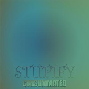 อัลบัม Stupify Consummated ศิลปิน Various