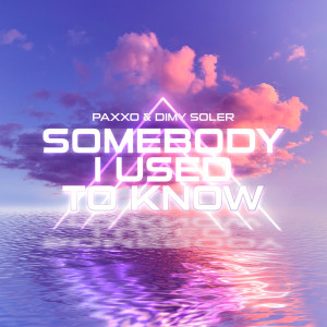 อัลบัม Somebody I Used To Know (Vip Mix) ศิลปิน Paxxo