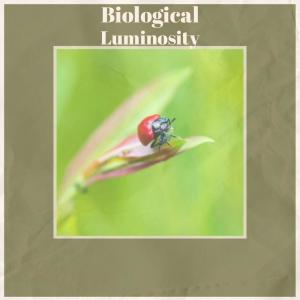 Various的专辑Biological Luminosity