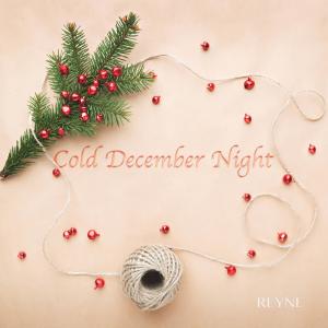 Reyne的專輯Cold December Night