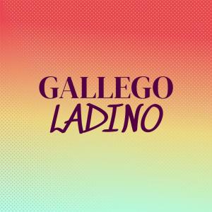 Dengarkan Gallego Ladino lagu dari Maor Kleo dengan lirik