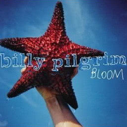 ดาวน์โหลดและฟังเพลง Need Your Love พร้อมเนื้อเพลงจาก Billy Pilgrim