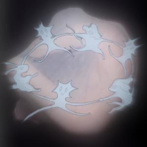 收聽MAU的dry caro o extracción (Explicit)歌詞歌曲