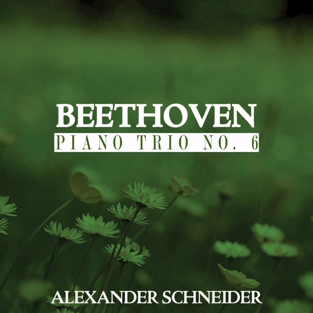 Piano Trio No. 6 in B-Flat Major, Op. 97, Archduke: I. Allegro moderato