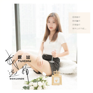 Listen to 我选择退出 (DJ伟伟版伴奏) song with lyrics from 刘增瞳