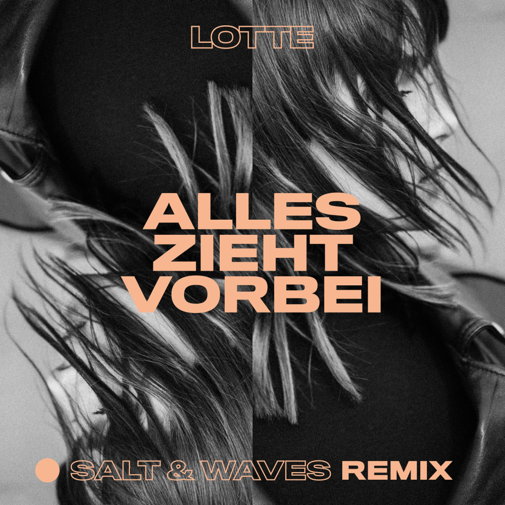 Alles zieht vorbei (Salt & Waves Remix)