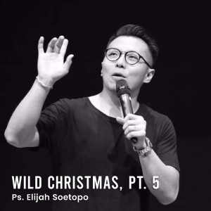ดาวน์โหลดและฟังเพลง Wild Christmas, Pt. 5 พร้อมเนื้อเพลงจาก Ps. Elijah Soetopo