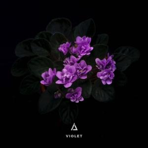 收聽Amlan的Violet歌詞歌曲