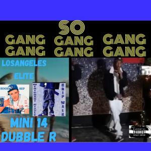 MINI 14 DUBBLE R AKA NEW PAC DA KING PEN DUCE的專輯SO GANG GANG GANG GANG (Explicit)