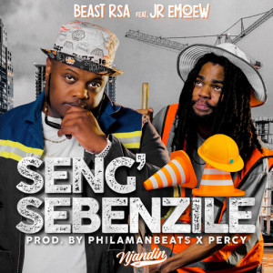 Beast Rsa的專輯Seng Sebenzile