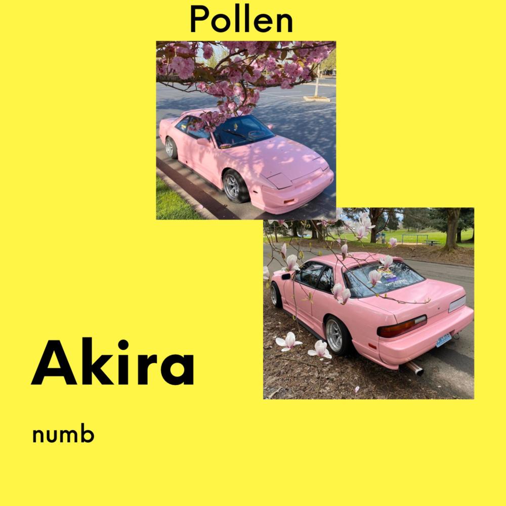 akira (Explicit)