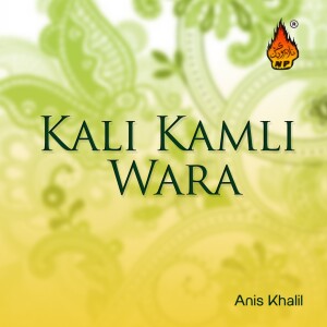 ดาวน์โหลดและฟังเพลง Monke Tunjho Karam พร้อมเนื้อเพลงจาก Anis Khalil