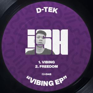 D-Tek的專輯Vibing