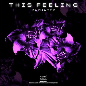 Album This Feeling from Karnaser