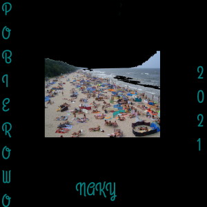 Listen to Bazarkowy Towar (Explicit) song with lyrics from Naky