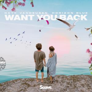 Listen to Want You Back song with lyrics from Nate VanDeusen