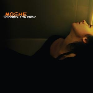 ดาวน์โหลดและฟังเพลง Warm Fuzzy Feeling (feat. JamesPHoney & Bleubird) พร้อมเนื้อเพลงจาก Moshe