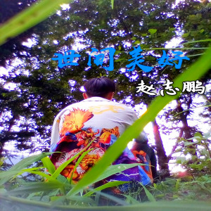 Listen to 世间美好 (清唱版) song with lyrics from 赵志鹏