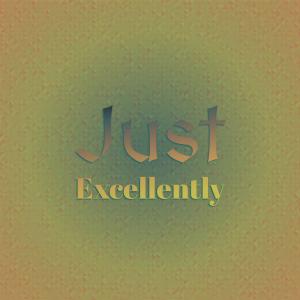 Various Artists的專輯Just Excellently