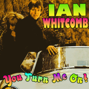 ดาวน์โหลดและฟังเพลง Your Baby Has Gone Down The Plug-Hole พร้อมเนื้อเพลงจาก Ian Whitcomb