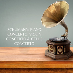 Listen to Cello Concerto song with lyrics from London Symphony Orchestra