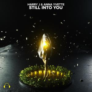 Listen to Still Into You song with lyrics from Harry J