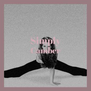 Album Simply Camber from Various
