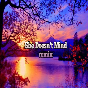 Listen to She Doesn't Mind (Remix) song with lyrics from Putra Fvnky