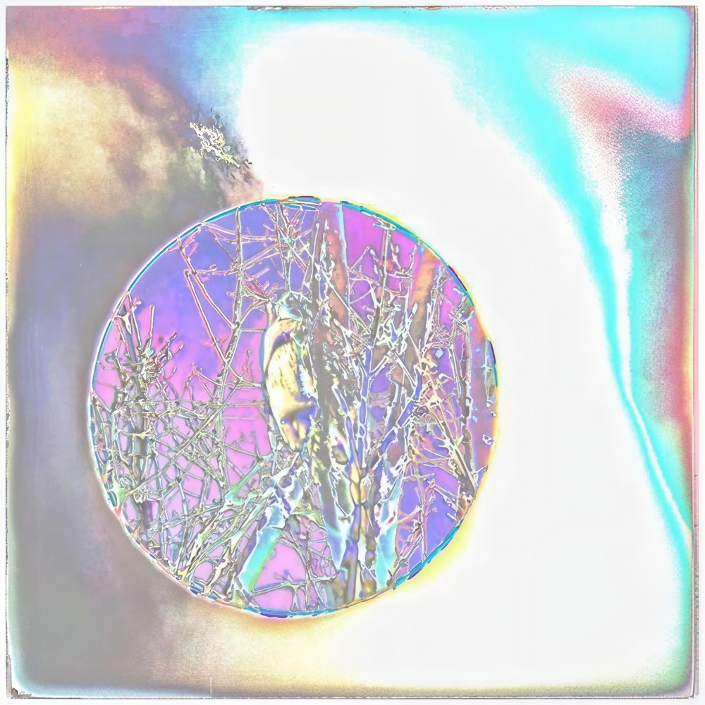 Mirror Of Life