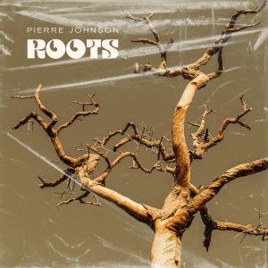 Pierre Johnson的專輯Roots
