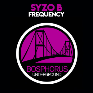 Dengarkan lagu Frequency nyanyian Syzo B dengan lirik