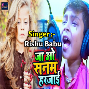 收聽Rishu Babu的Ja O Sanam Harjayi歌詞歌曲