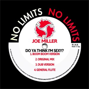 Listen to Do Ya Think I'm Sexy? (General Flute) song with lyrics from Joe Miller