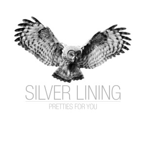 ดาวน์โหลดและฟังเพลง Silver Lining พร้อมเนื้อเพลงจาก Pretties for You
