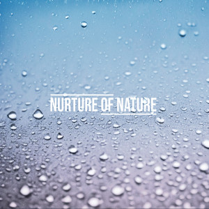 收听Nurture of Nature的Winterish (Rain)歌词歌曲